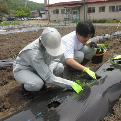 農業・園芸グループ